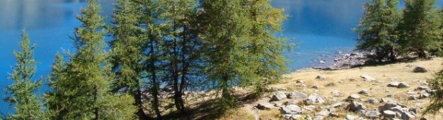  Viaggio divertente e paesaggistico 